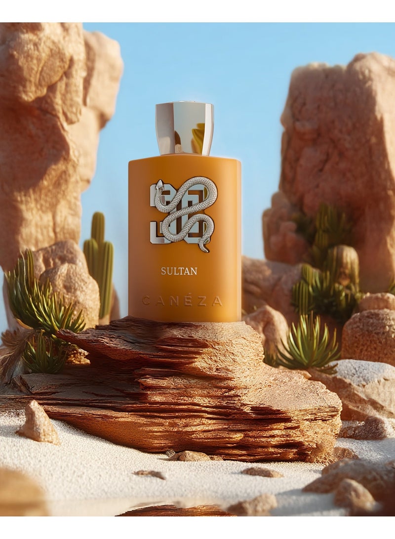 Canéza Caneza  Sultan Intense Eau de Parfum - Deep Amber Spiced Blend with Guaiac Wood, Musk & Resinous Warmth | Bold Long-Lasting Scent | 100ML - Image 2
